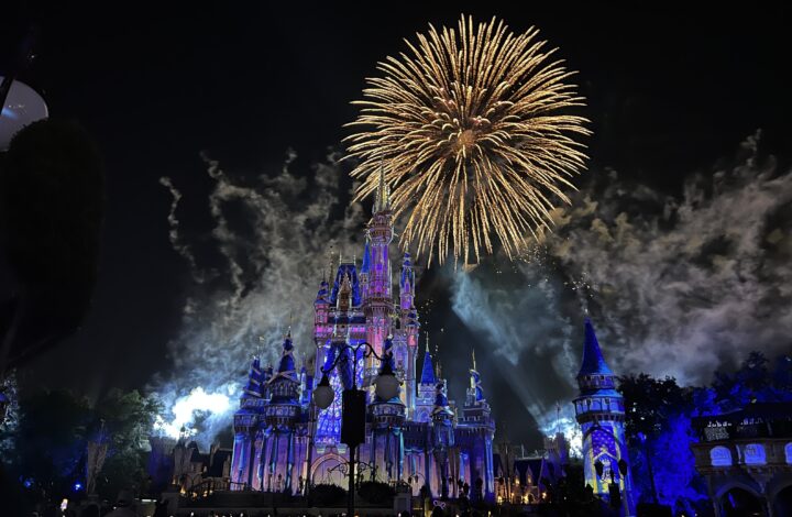 disney world fireworks