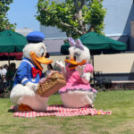 Best Snacks at Hollywood Studios - Daisy and Donals picnicing at DHS