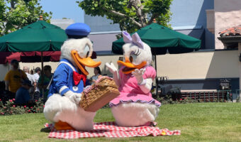 Best Snacks at Hollywood Studios - Daisy and Donals picnicing at DHS