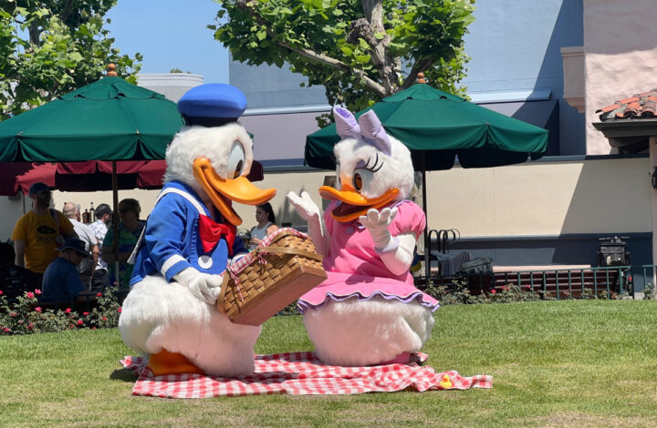 Best Snacks at Hollywood Studios - Daisy and Donals picnicing at DHS