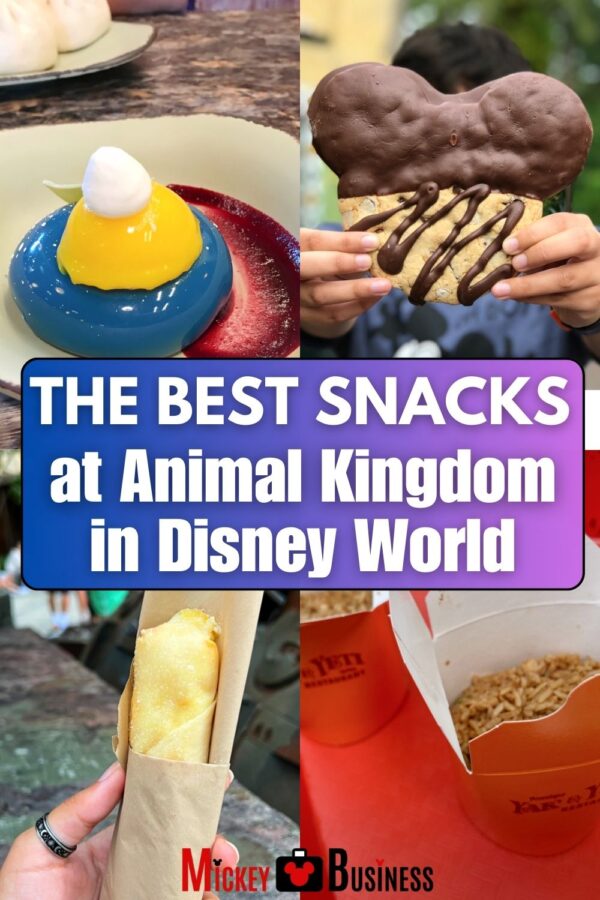 From other-worldly to large enough for a meal, these best snacks at Animal Kingdom in Walt Disney World to help satisfy your beastly appetite. #Disney #Animalkingdom #WDW #Disneysnacks