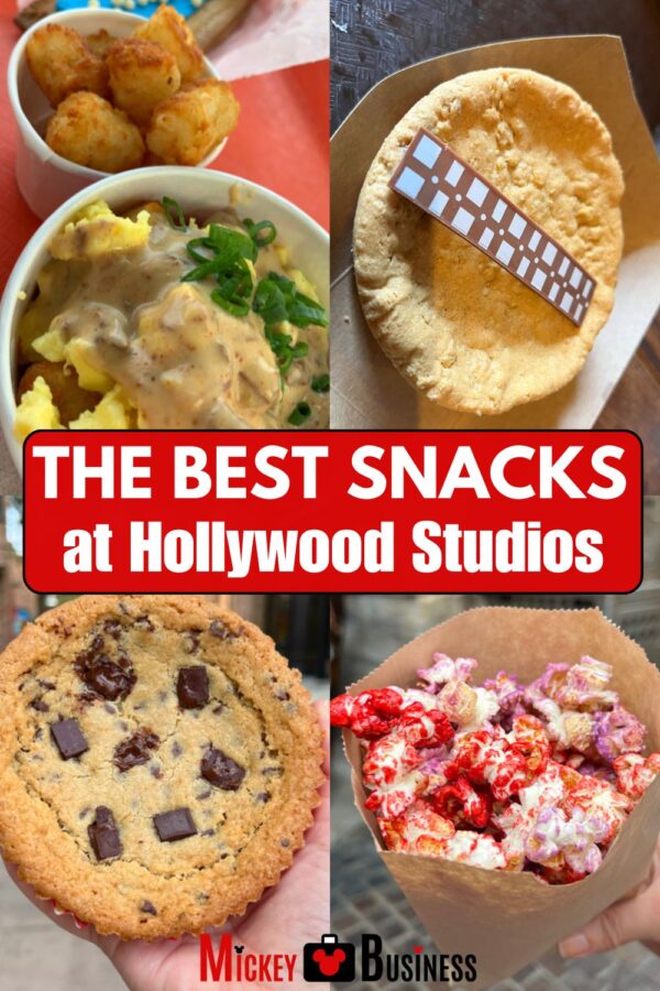 From cookies that are out of this world to beverages you'll need to learn a language to translate, here are the ten best snacks at Hollywood Studios you can test drive anytime you visit. #Disney #WDW #HollywoodStudios #DisneySnacks