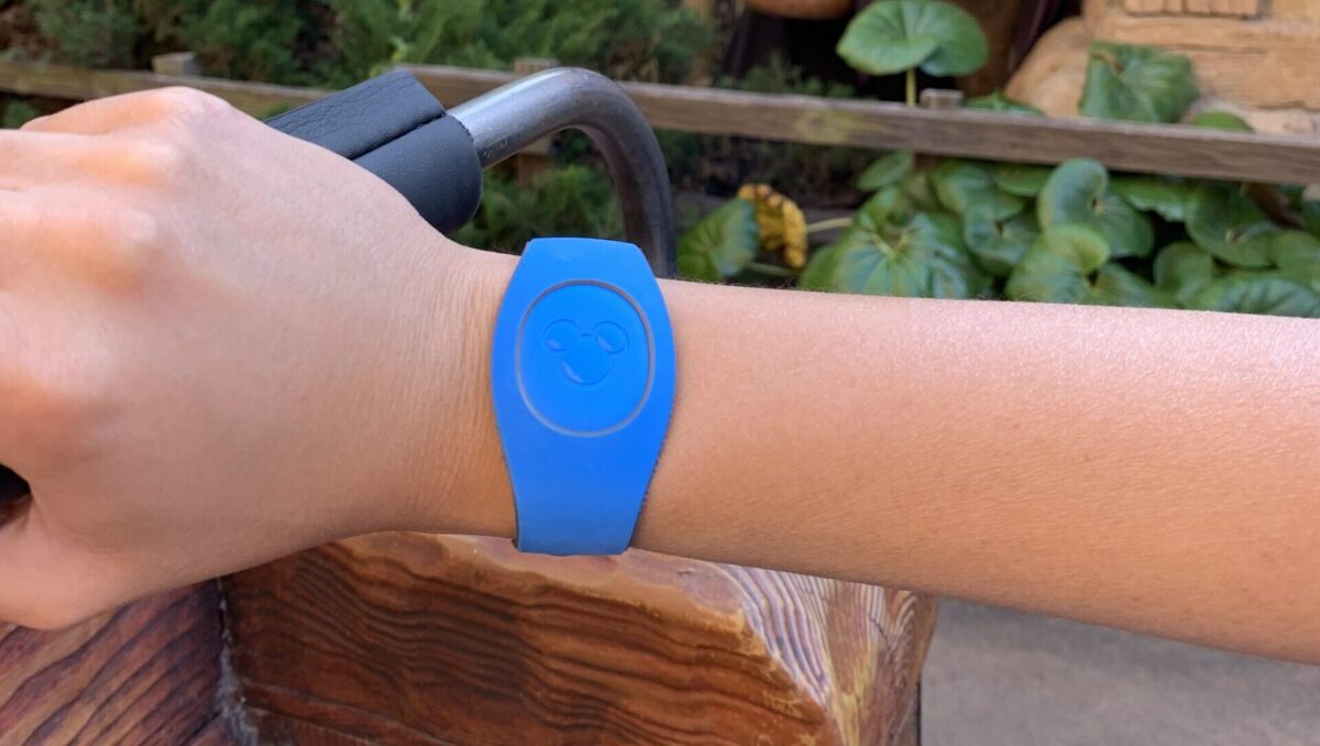 blue magic bands at disney world